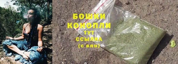 каннабис Дмитриев