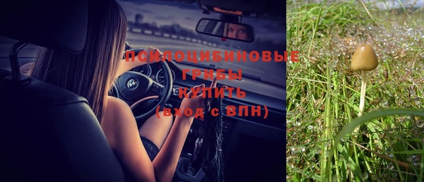 синтетический гашиш Верхний Тагил
