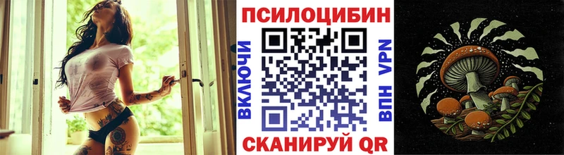Галлюциногенные грибы Psilocybe  где найти наркотики  Дрезна 